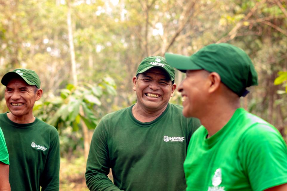 aceite de castaña precio | aceite de castaña propiedades