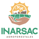 The Use of Brazil Nut Oil in Natural Cosmetics